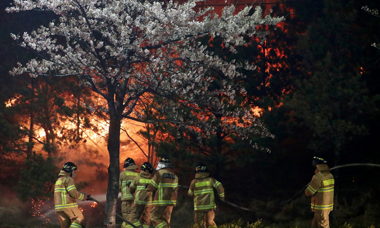 Firefighters start to contain South Korean wildfires; thousands evacuated