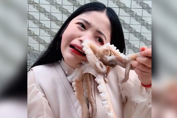 Chinese vlogger attacked by octopus as she tries to eat it during live-stream