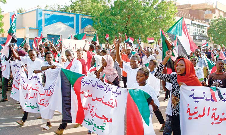 Stable transition in Sudan only way out: UAE