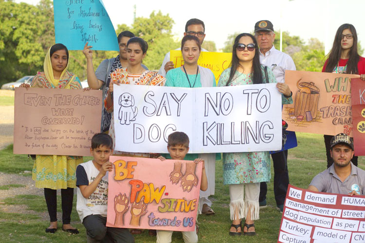 Animal rights activists protest against dog culling in Islamabad