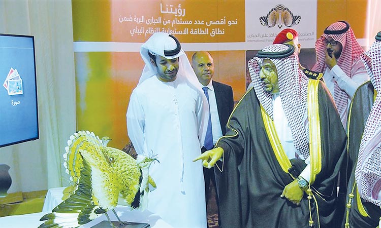 Houbara museum opens in Saudi