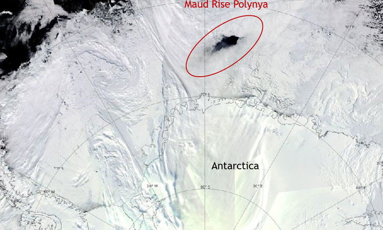 NYU Abu Dhabi research team unravels 43-year-old mystery in Antarctica