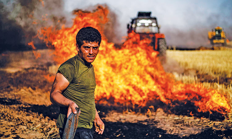 Kurds and regime battle for wheat