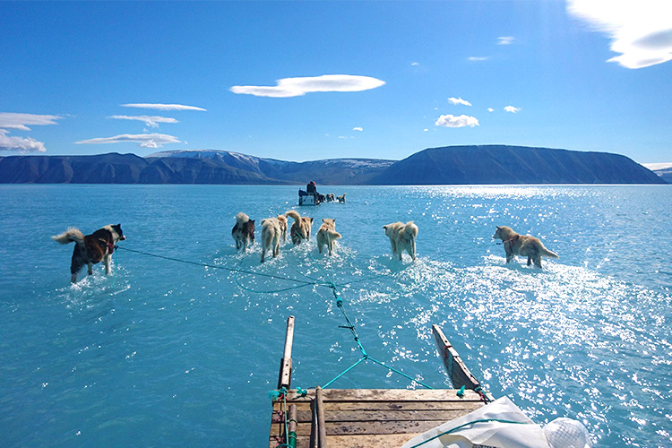 Viral photo shows Arctic ice melting at alarming rate