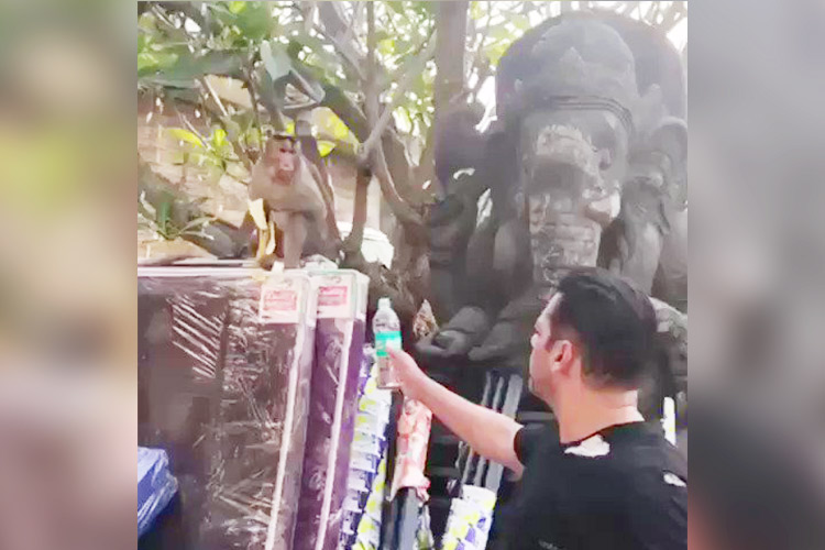 Video: Salman Khan shares video of monkey refusing to drink water from plastic bottle