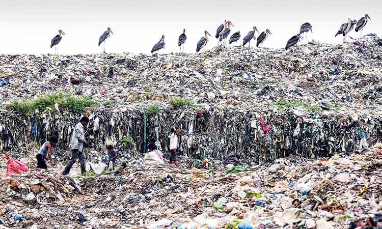 Rubbish hill to rise higher than Taj Mahal