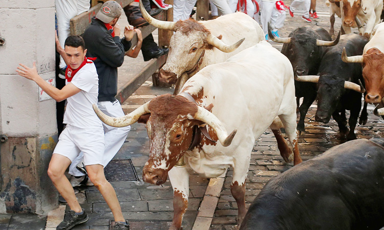 One gored among seven hurt on fifth day of Pamplona bull-running