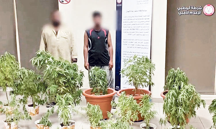 Two persons caught over planting hemp