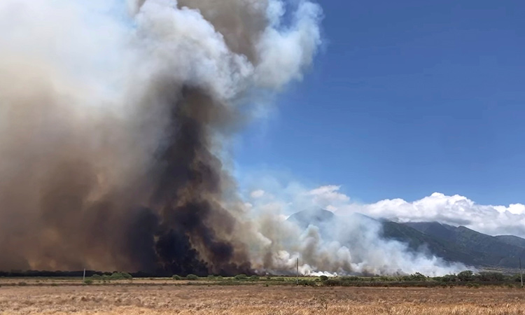 Hawaii governor declares emergency for Maui wildfires