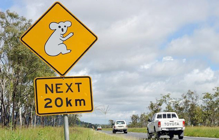 Aussie kids take stolen car on 1,000-kilometre road trip