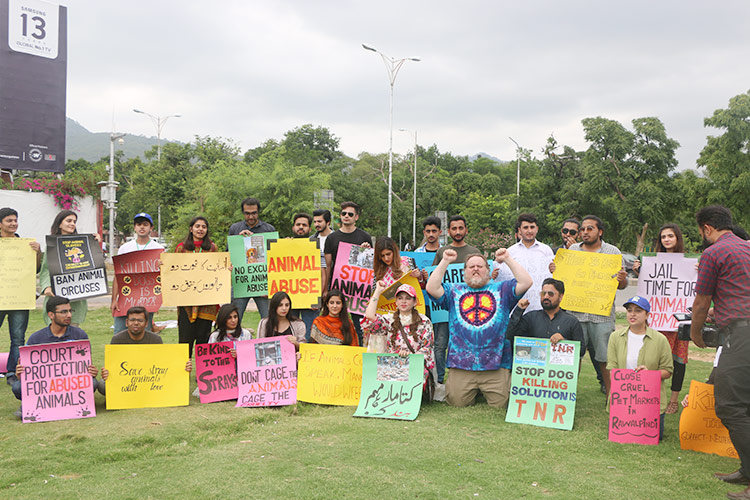 Video: Pakistan rights activists’ stage protest against animal cruelty 