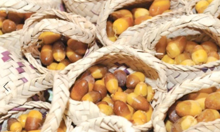 Ajman dates, honey festival begins July 31