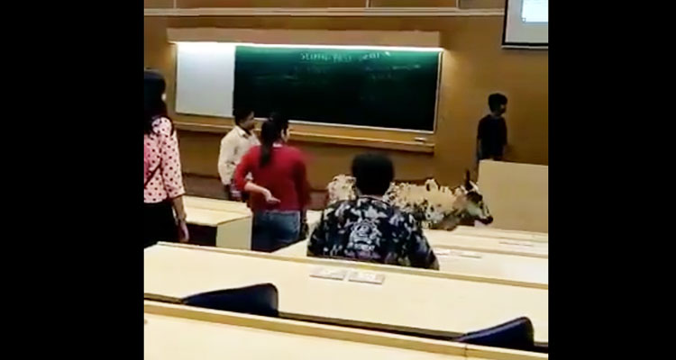 Video of a stray cow taking a stroll in an IIT-B lecture hall goes viral