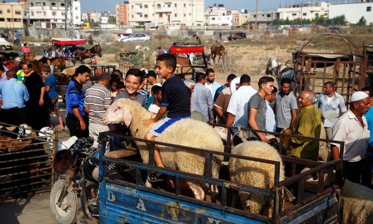 Israeli military kills four Palestinians on Gaza border