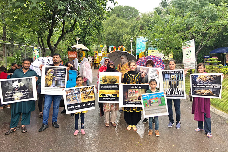 Video: Pak residents stage protest against animal cruelty outside Islamabad Zoo