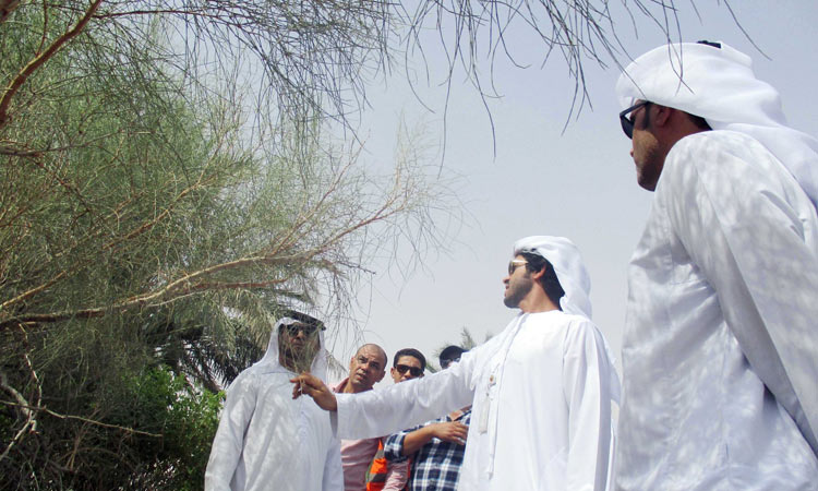 Liwa launches initiatives to protect wild plants