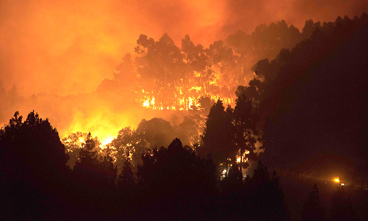 Forest fires at highest recorded levels in India