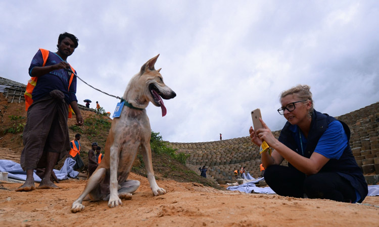 Move over Angelina Jolie, it's 'humanitarian pup'