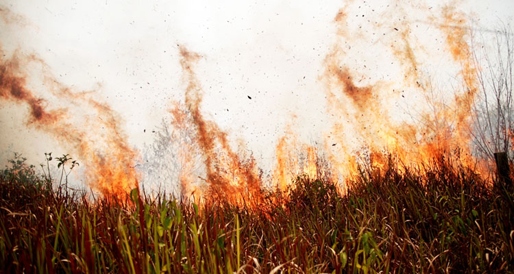 Hundreds of new fires in Brazil as outrage over Amazon grows