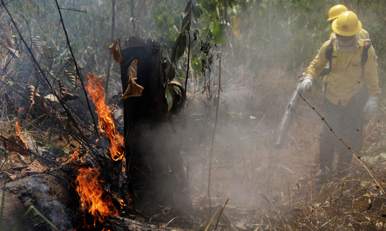 G7 leaders vow to help Brazil fight fires, repair damage