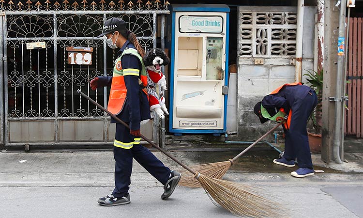  A dog's life: Bangkok street sweeper carries pet to work