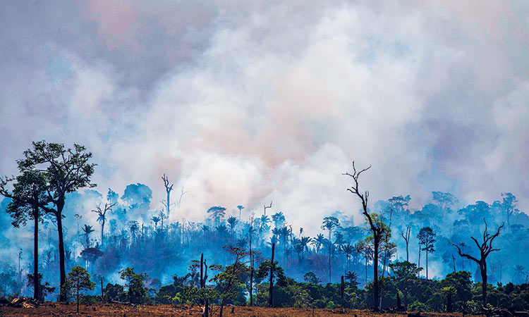 Brazil announces South American meeting on Amazon