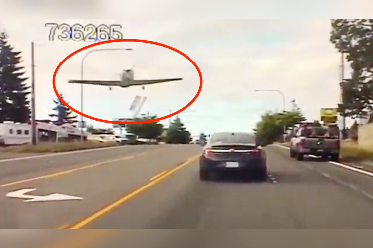 Video: Small plane lands on Washington state road, shocking drivers