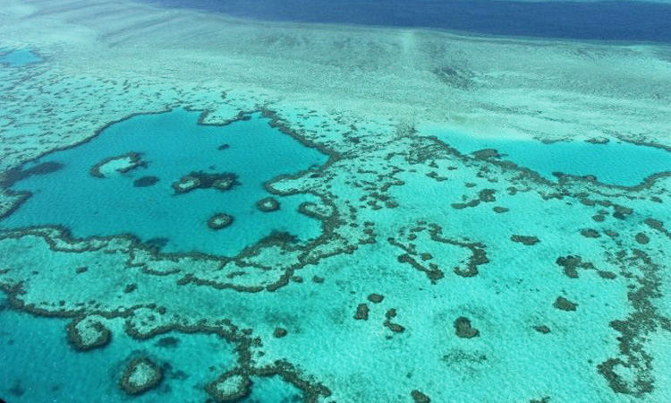 Australia downgrades outlook for Great Barrier Reef to ‘very poor’