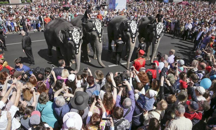 Denmark to retire its last four circus elephants