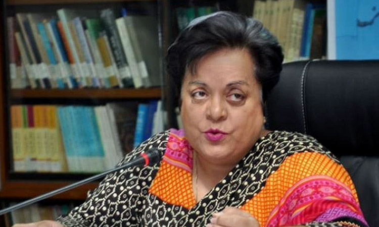 Senior leader Shireen Mazari quits PTI after being arrested several times