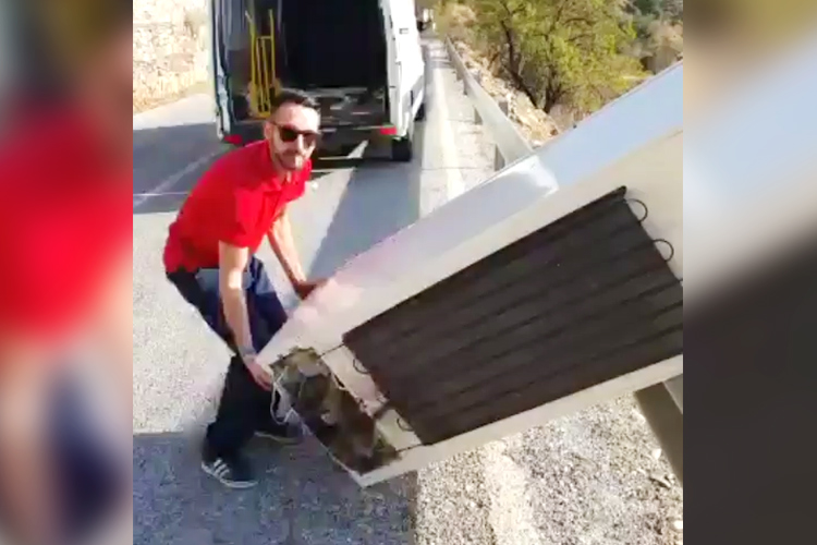 Video: Man forced to haul fridge back up cliff after throwing it over in anti-recycling protest