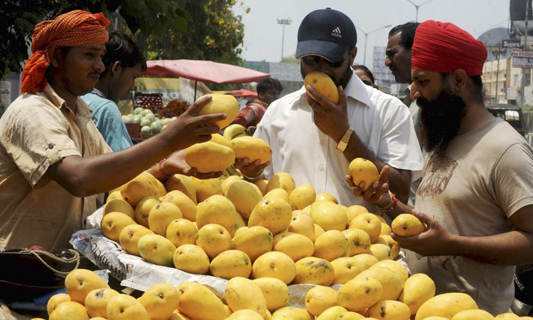 Dubai Airport porter sued for stealing 2 mangoes