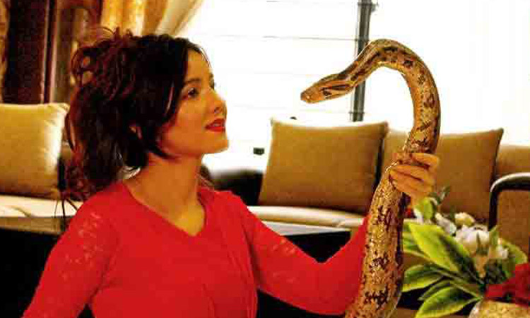 Video: Pakistani singer faces jail term for keeping exotic animals at her salon