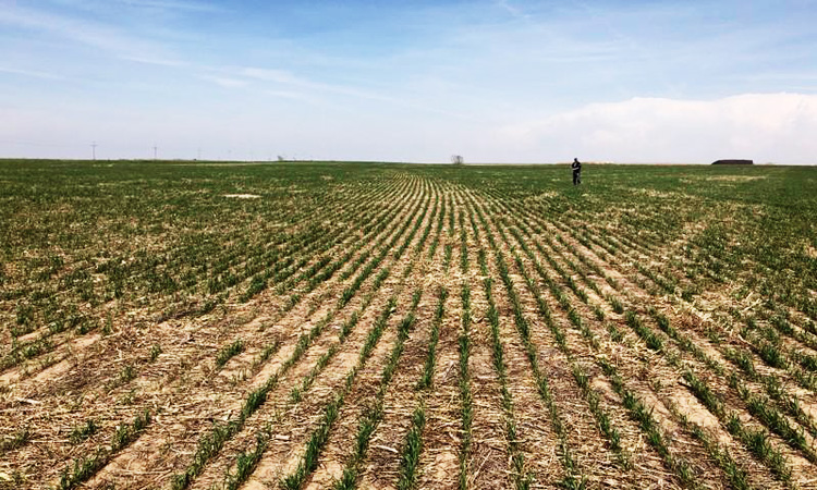 World must transform food production or face unrest, scientists warn