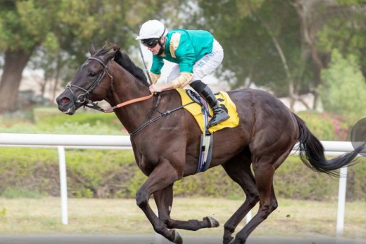 Prevent lands feature as iconic Jebel Ali Racecourse celebrates 30th anniversary