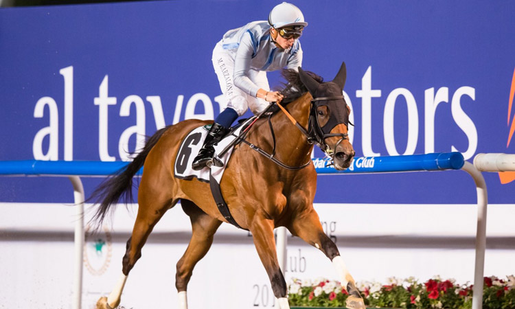 Carnival prospects hope to advertise claims at Jebel Ali meet