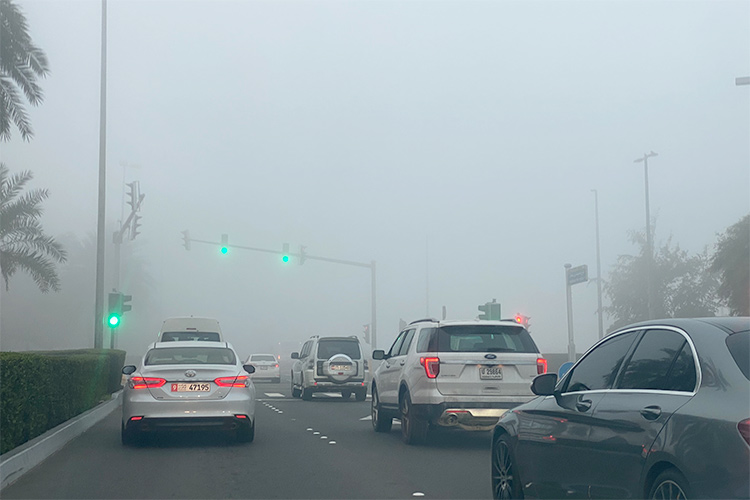 Foggy weather to continue till Monday