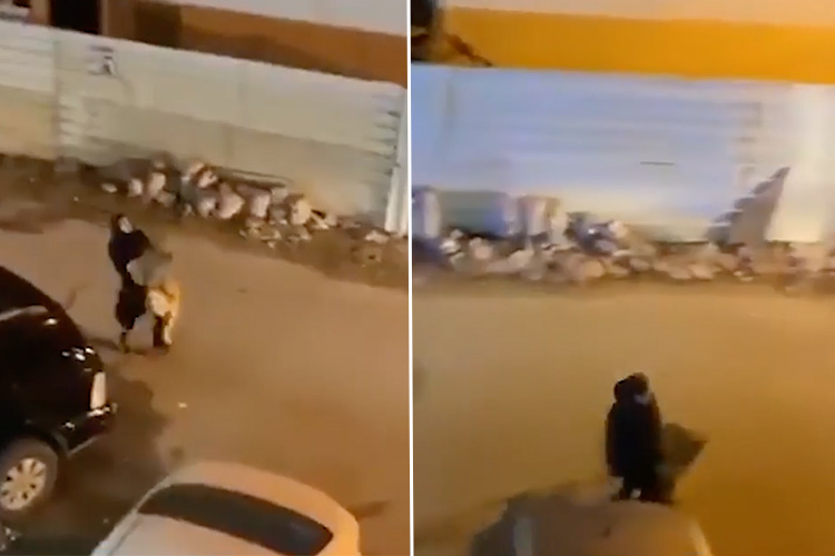 VIDEO: Kuwaiti woman tries to tame her lioness after the escape went viral