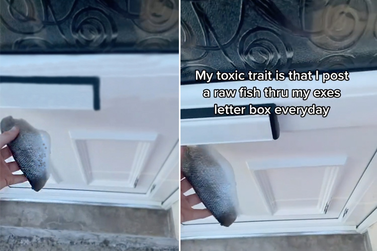 VIDEO: Woman sparks debate after posting a fish through her ‘ex’s front door’