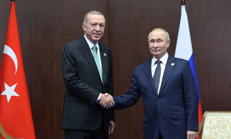 Erdogan takes grain diplomacy to Putin in Sochi