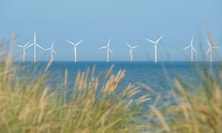 Mubadala invests in world’s largest private offshore wind energy developer