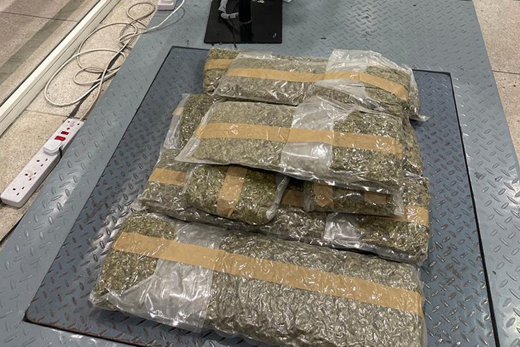 Dubai Customs foils smuggling of 12.5kg of marijuana