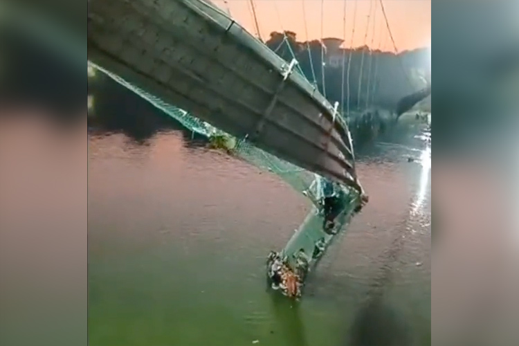 VIDEO: 77 killed as hanging bridge in Gujarat's Morbi collapses 