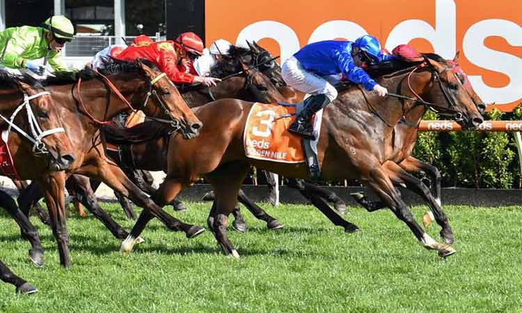 Double delight for Godolphin as Golden Mile and Anamoe win G1 races at Caulfield