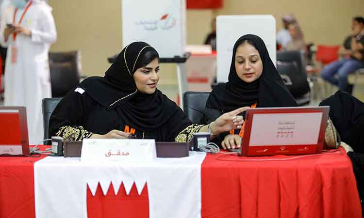 Government websites attacked as Bahrain holds parliamentary polls