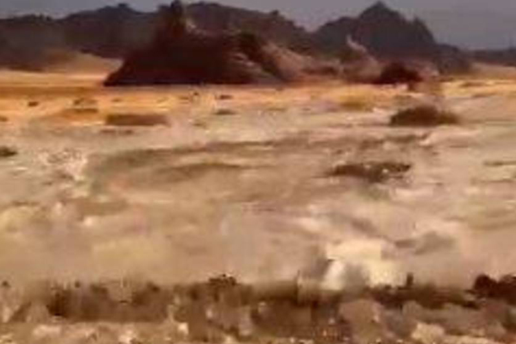 VIDEO: Child drowns in floodwaters after torrential rain hits Saudi Arabia