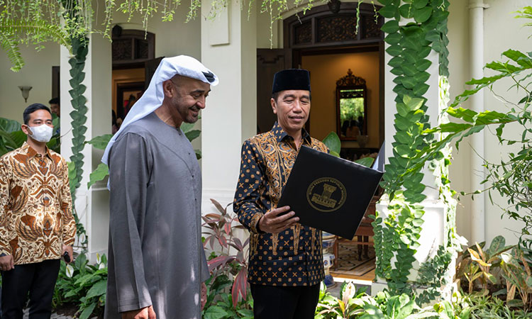 UAE and Indonesian Presidents explore opportunities to develop bilateral relations