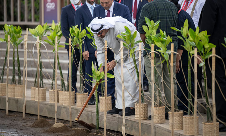 UAE President plants mangrove tree at Ngurah Rai Forest Park on sidelines of G20 Summit in Bali