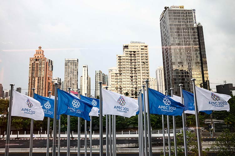 APEC summit focuses on economic goals