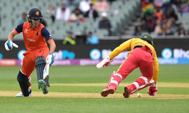 Netherlands beat Zimbabwe by 5 wickets at T20 World Cup